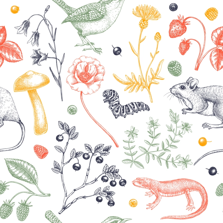 Summer background in color. Floral texture design. Wildlife sketches. Wildflowers seamless pattern. Hand-drawn illustration of field flowers, birds, and animals for wedding invitation, textile, cards
